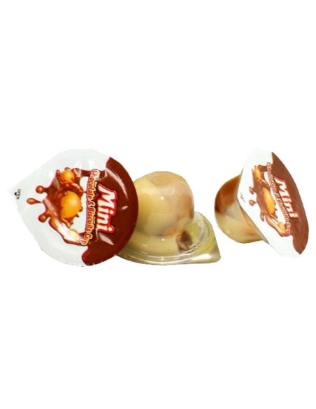 Choco Star crema de cacao y galleta 100uds Gerio