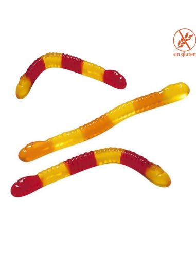 Chuches Goma Gusanos Brillo surtidos 1Kg (175uds) Vidal Golosinas