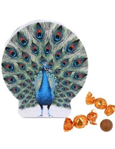 Caja Bombones Lata Pavo Real 150Gr Chocoday