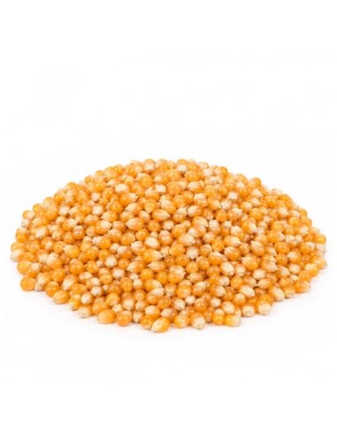 Maíz Rosetero de 1Kg Xanos a granel